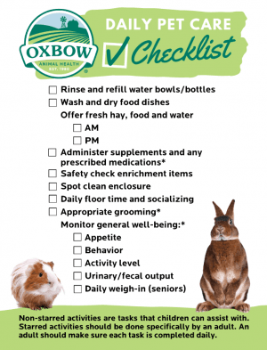 Daily Care Checklist For Your Small Pet