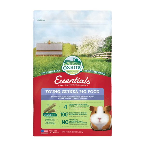 Essentials Young Guinea Pig Food