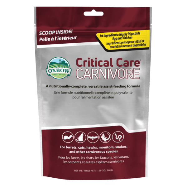 Critical Care Carnivore