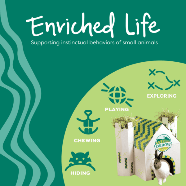 Enriched Life - Shake, Rattle & Roll